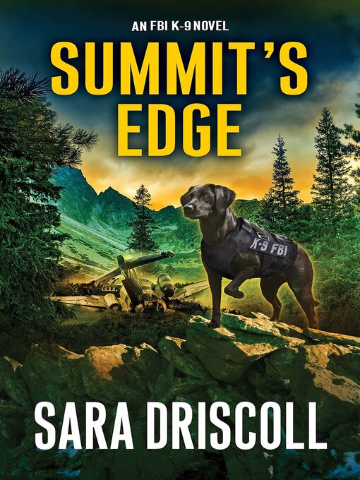 Title details for Summit's Edge by Sara Driscoll - Wait list